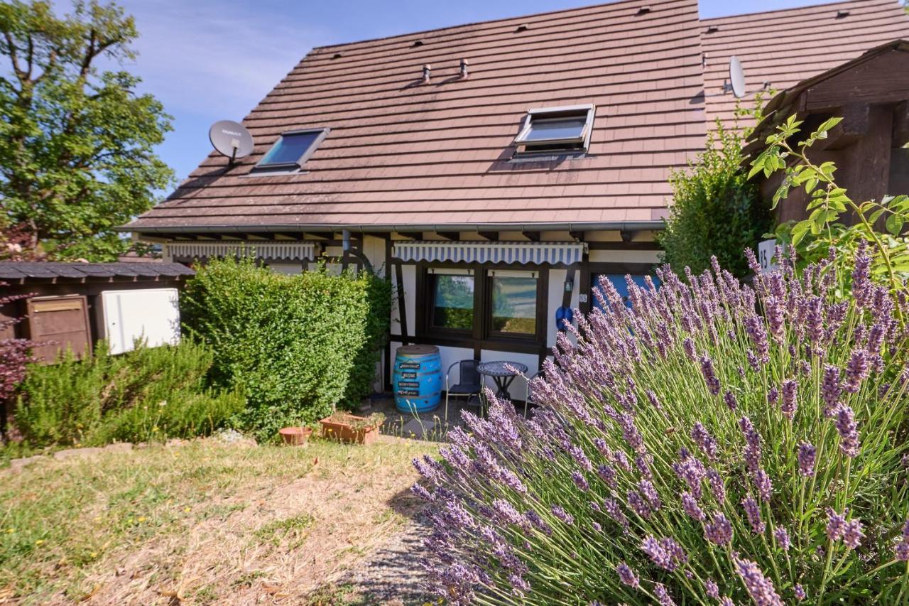 Le Tonneau Bleu - Appt Avec Piscine Partagee * Lembach